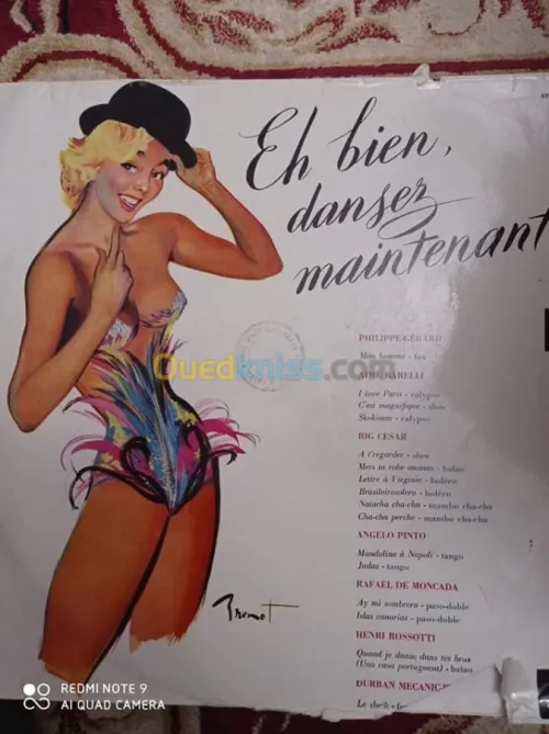 DES DISQUES 33 TOURS VARIETE FRANCAIS