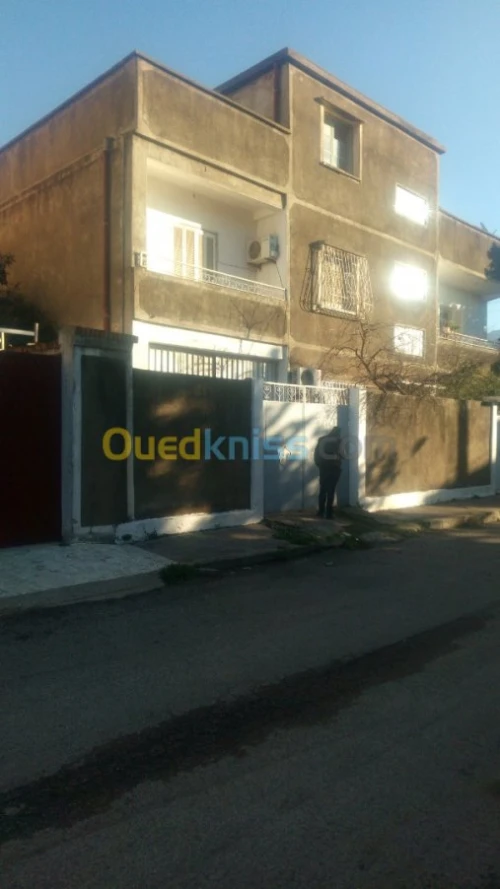 Vente Terrain Blida Blida