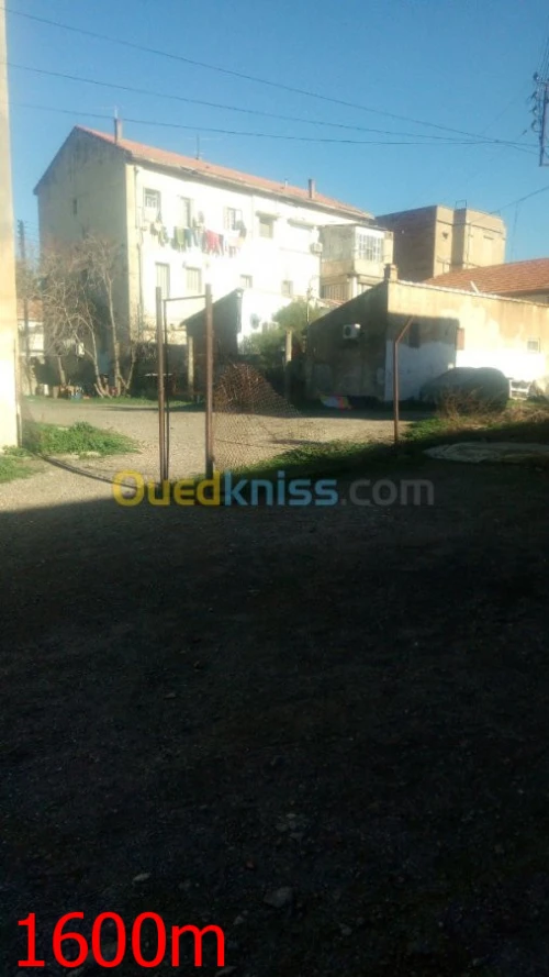 Vente Terrain Blida Blida
