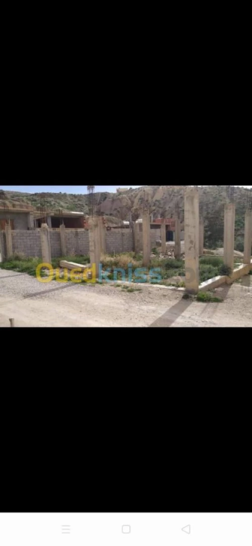 Vente Carcasse Bordj bou arreridj Mansoura