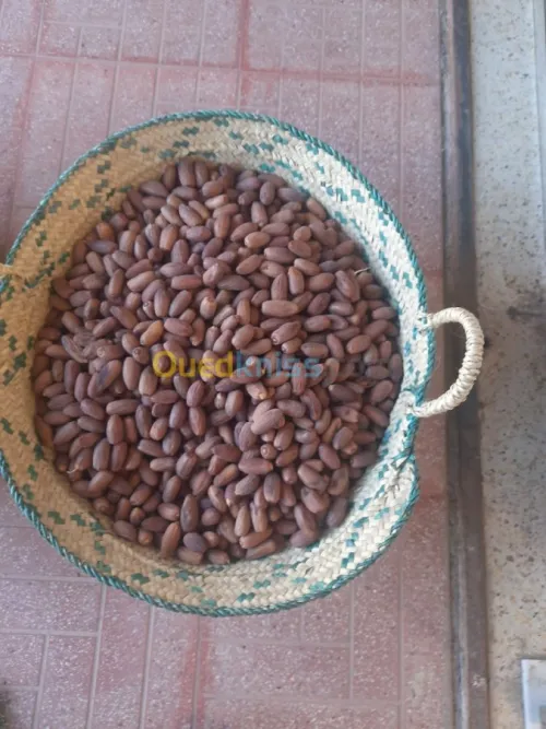 Exporter toutes produits 