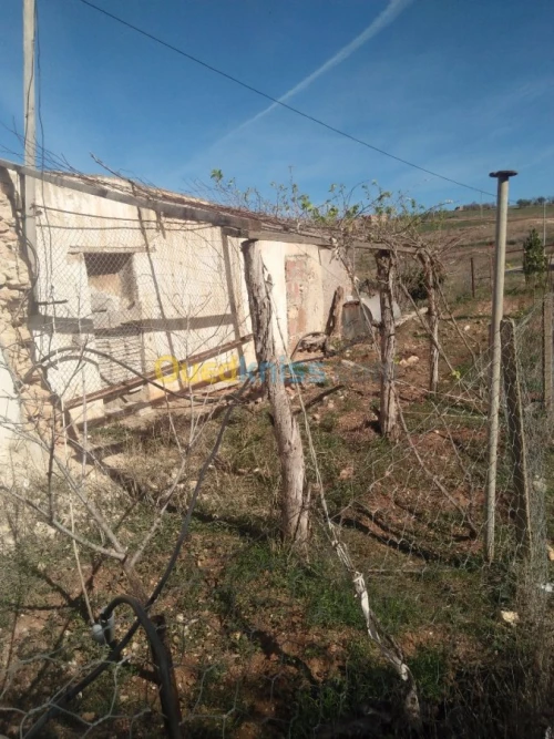 Vente Terrain Tlemcen Bab el assa