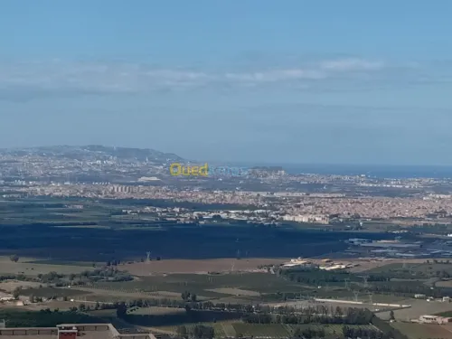 Echange Appartement F4 Blida Meftah