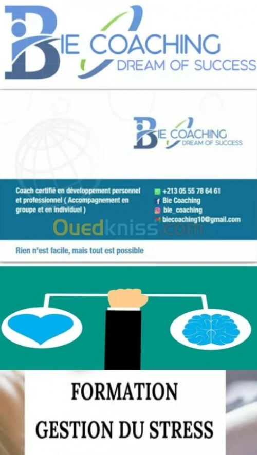 formation + certificat de participation
