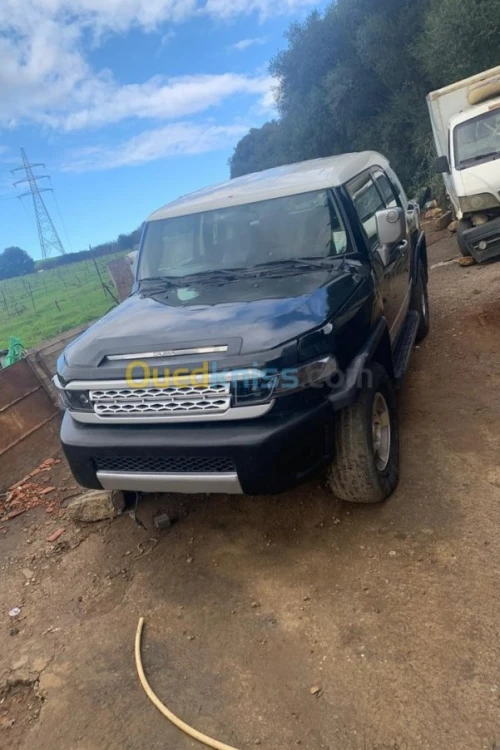 Toyota Fj cruiser 2014 Cruiser