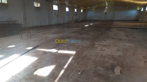 Location Hangar Setif Guidjel