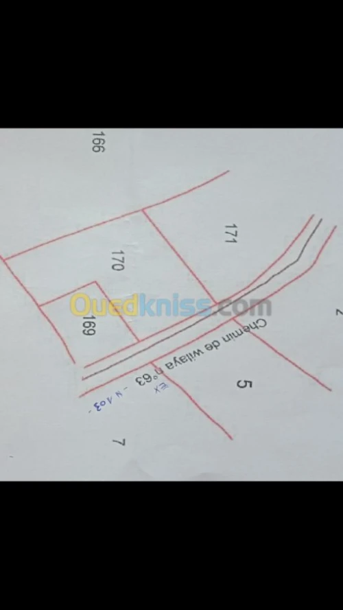 Vente Terrain Setif Bougaa