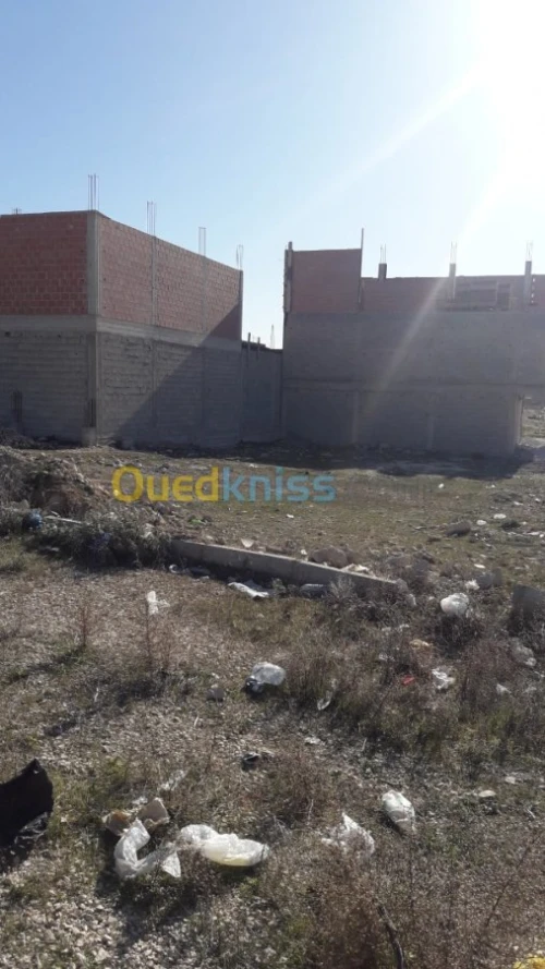 Vente Terrain Oum el bouaghi Ain beida