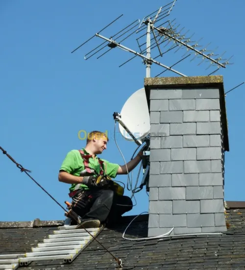  installation parabole collective