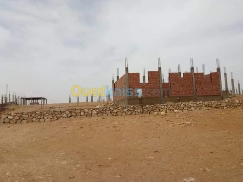 Vente Terrain Ghardaia Bounoura