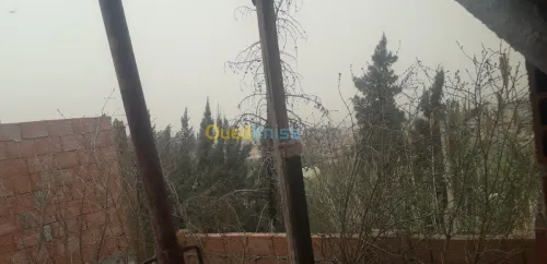 Vente Carcasse Blida Bouinan