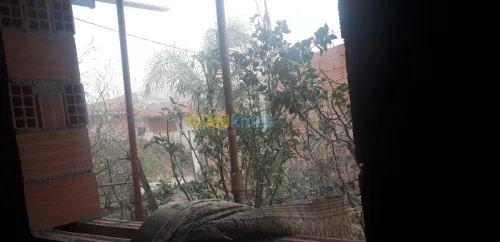 Vente Carcasse Blida Bouinan