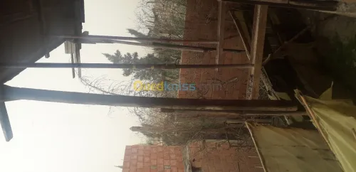 Vente Carcasse Blida Bouinan