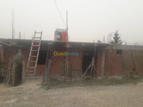 Vente Carcasse Blida Bouinan