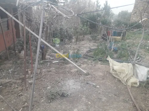 Vente Carcasse Blida Bouinan