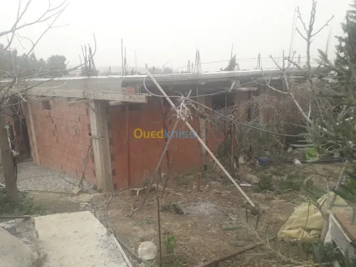 Vente Carcasse Blida Bouinan