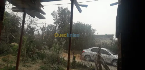 Vente Carcasse Blida Bouinan