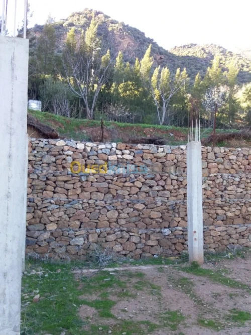 Vente Terrain Ain defla Ain torki