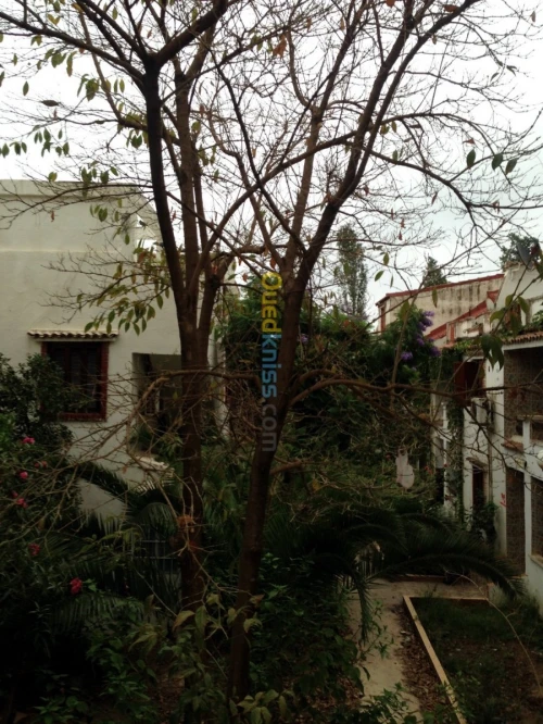 Vente Appartement F3 Bejaia Boukhelifa