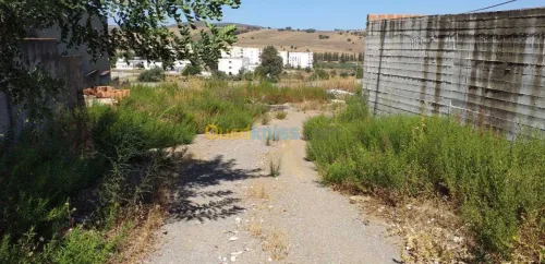 Vente Hangar Guelma Nechmaya