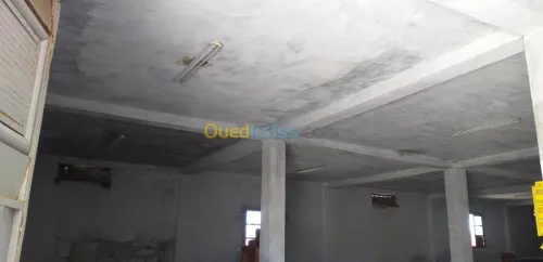 Vente Hangar Guelma Nechmaya