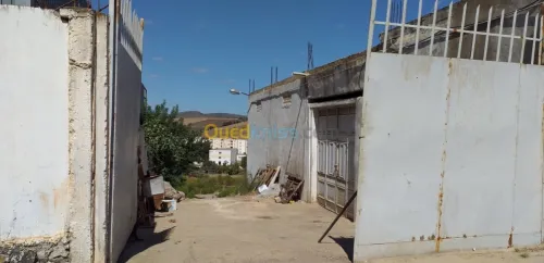 Vente Hangar Guelma Nechmaya
