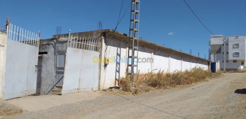 Vente Hangar Guelma Nechmaya