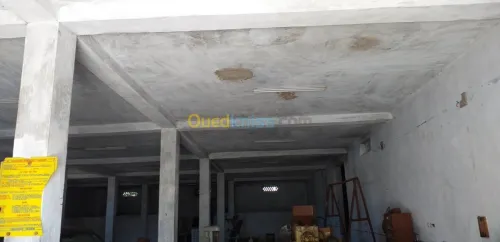 Vente Hangar Guelma Nechmaya