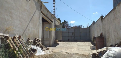 Vente Hangar Guelma Nechmaya