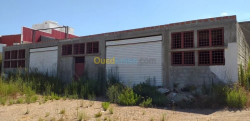 Vente Hangar Guelma Nechmaya