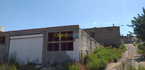 Vente Hangar Guelma Nechmaya