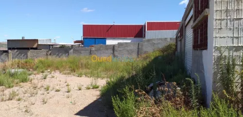 Vente Hangar Guelma Nechmaya