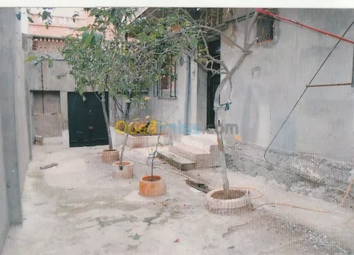 Vente Niveau De Villa F9 Oran Arzew