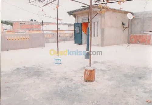Vente Niveau De Villa F9 Oran Arzew