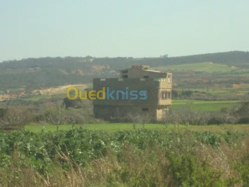 Vente Villa Mostaganem Hadjadj