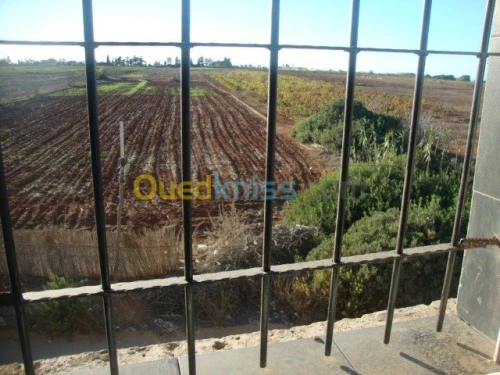 Vente Villa Mostaganem Hadjadj