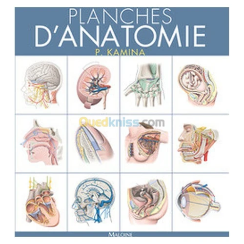 Planches d'anatomie. T3 La tête osseuse