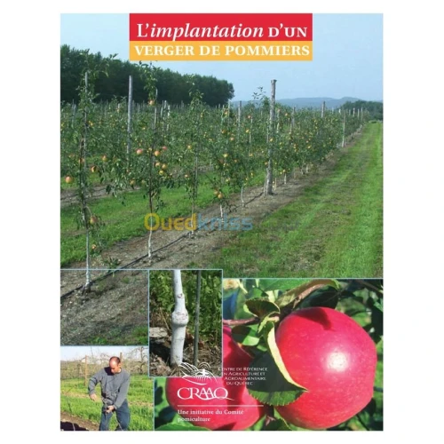 L'implantation d'un verger de pommiers