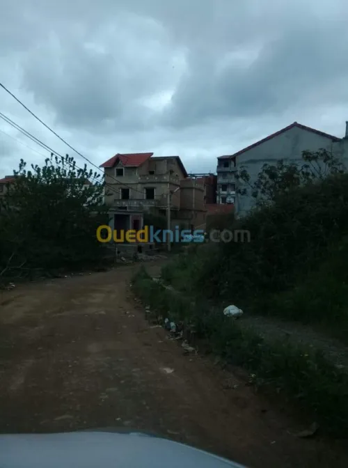 Vente Carcasse Blida Blida