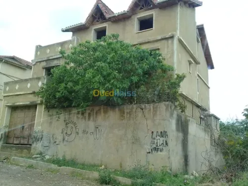 Vente Carcasse Blida Blida