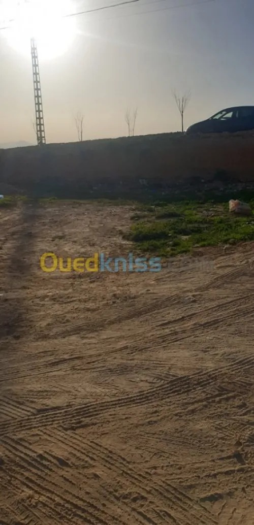 Vente Terrain Tlemcen Sebaa chioukh