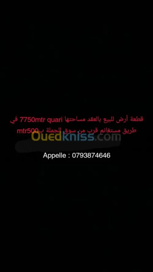 Vente Terrain Mascara El menaouer