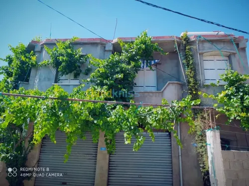 Vente Niveau De Villa F4 Mila Ain beida harriche