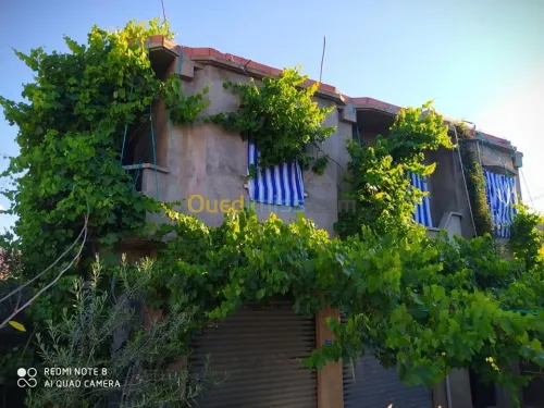 Vente Niveau De Villa F4 Mila Ain beida harriche