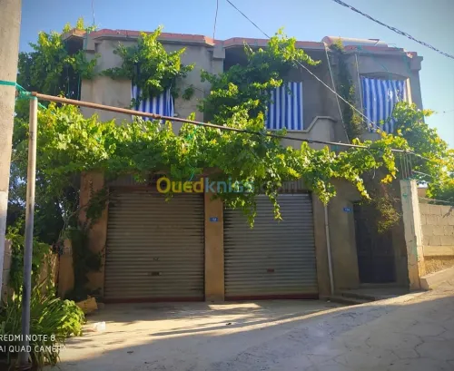Vente Niveau De Villa F4 Mila Ain beida harriche