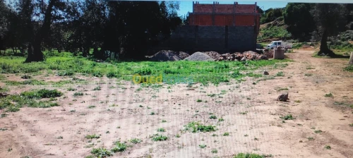 Vente Terrain Tlemcen Chetouane