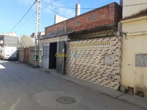 Vente Villa Blida Boufarik