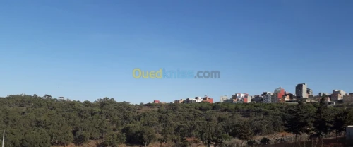 Vente Terrain Tlemcen Marsa ben mhidi