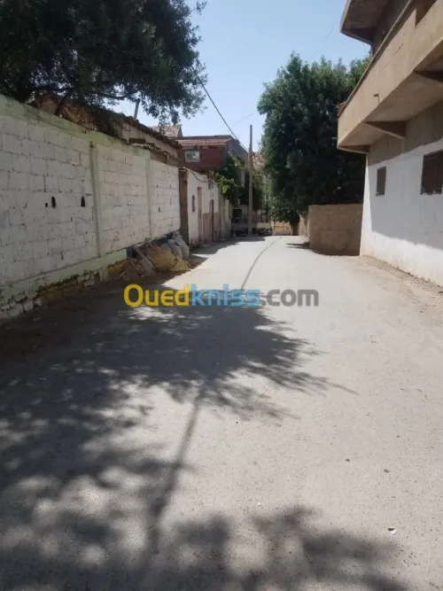Vente bien immobilier Setif Bougaa