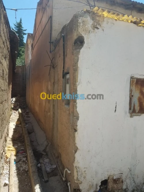 Vente bien immobilier Setif Bougaa